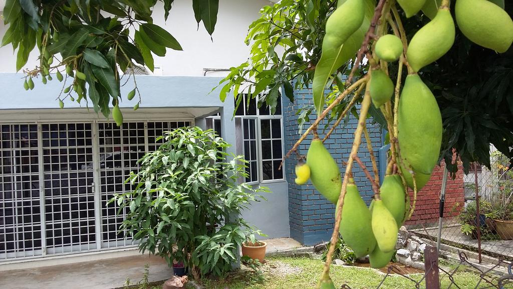 Kayangan Homestay Perlis For Mslim Only 加央 外观 照片